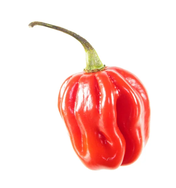 Piment Rouge Habanero Isolé Sur Fond Blanc — Photo