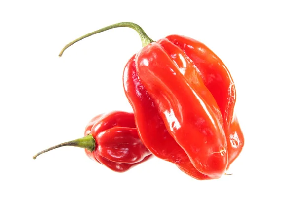 Piments Rouges Habaneros Isolés Sur Fond Blanc — Photo