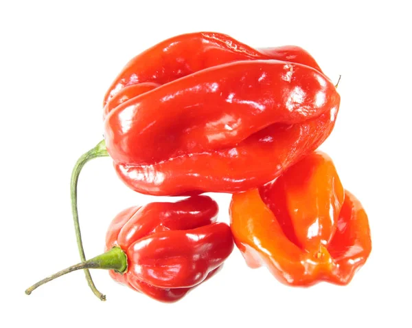 红色和橙色 Habaneros 辣椒查出在白色背景 — 图库照片