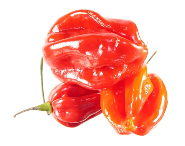 Red Orange Habaneros Peppers Isolated White Background — Stock Photo, Image