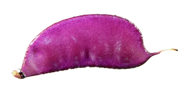 フジマメ属液体やフジマメ白い背景で隔離の紫の実 — ストック写真