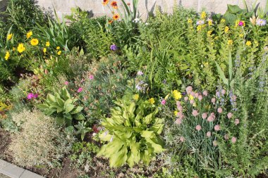 Yıllık ve çok yıllık bahçe bitkileri çeşitli ile karışık sınır. Sürekli çiçekli flowerbed