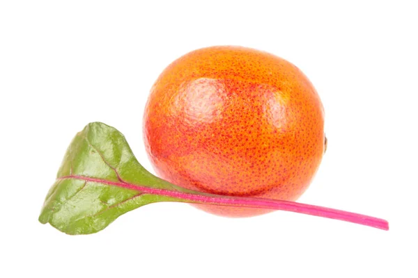 熟した血オレンジと新鮮な若い Chard 緑葉が白い背景に分離されました サラダの材料 — ストック写真