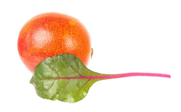 Ripe 오렌지와 신선한 배경에 샐러드 — 스톡 사진