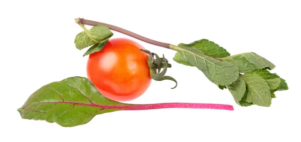 Red Tomato Mint Branch Fresh Green Leaves Chard Green Leaf — Stock Photo, Image