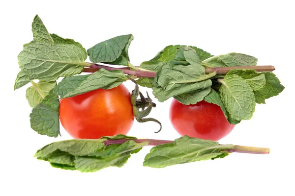 Δύο Κόκκινες Ντομάτες Και Δυόσμο Κλαδιά Φρέσκα Πράσινα Φύλλα Που — Φωτογραφία Αρχείου