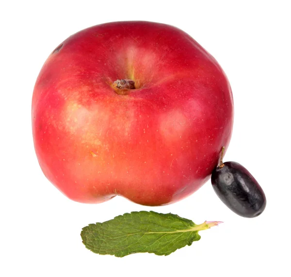 Roter Apfel Lila Traubenbeere Und Grünes Minzblatt Isoliert Auf Weißem — Stockfoto