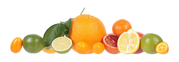 在白色背景上分离的不同新鲜柑橘类水果的组成 — 图库照片
