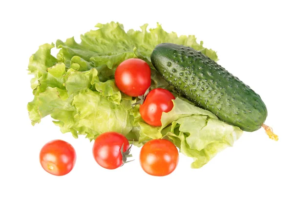 Frische Grüne Gurken Rote Tomaten Und Grüne Salatblätter Isoliert Auf — Stockfoto