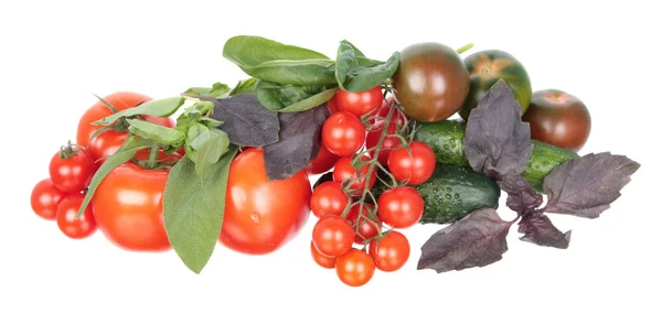 Frische Verschiedene Rote Tomaten Grüne Gurken Violettes Und Grünes Basilikum — Stockfoto