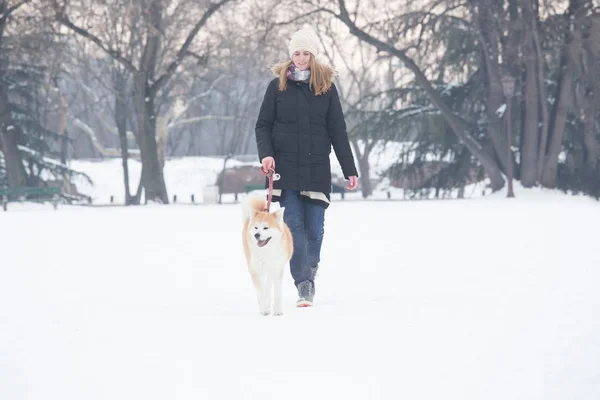 Vacker Ung Kvinna Och Hennes Hund Akita Promenader Parken Snö — Stockfoto