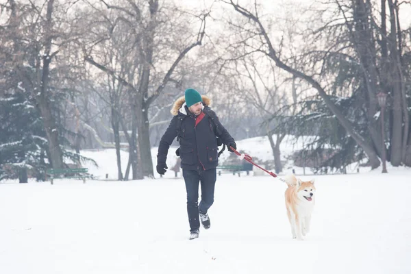 Чоловік Його Красива Собака Акіта Ходять Снігу Концепція Свята Зими — стокове фото