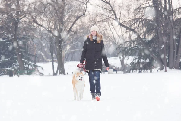 Unga Kvinnliga Snöig Dag Wit Hennes Japanska Akita Husdjur — Stockfoto
