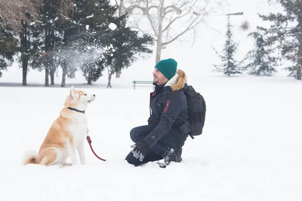 Молодой Человек Собака Акита Играют Снегу Зимняя Концепция — стоковое фото
