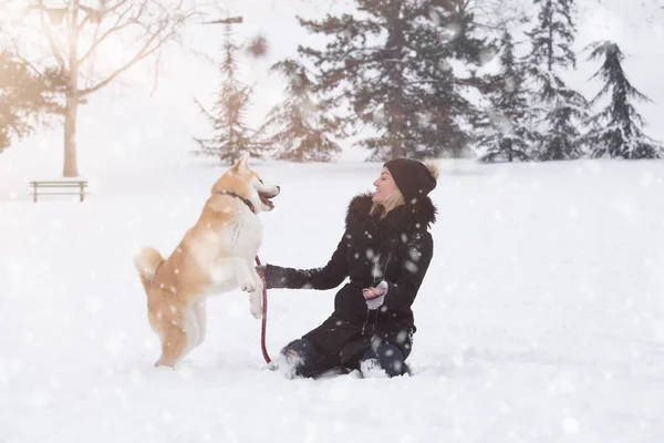 Молодая Женщина Собака Акита Играют Снежный День Зимняя Концепция — стоковое фото