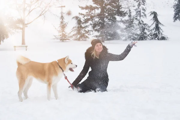 Молодая Женщина Собакой Акита Парке Снежный День — стоковое фото
