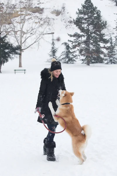 Собака Акита Хозяин Играют Снежный День — стоковое фото