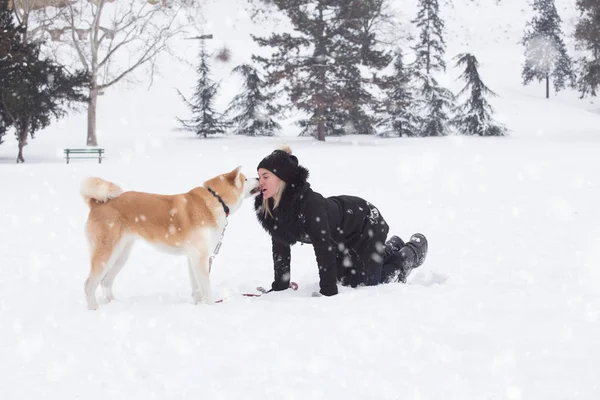 Akita Hund Kysser Hennes Ägare Snöig Dag Parken — Stockfoto