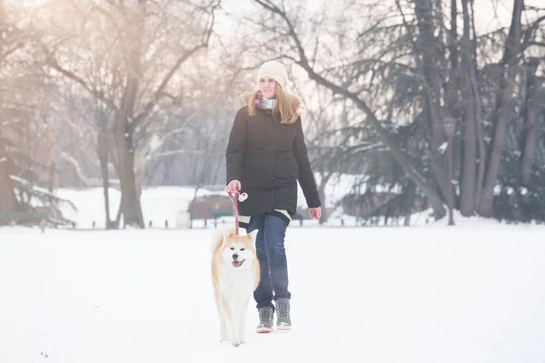 Молодая Женщина Собака Акита Гуляют Парке Снежный День Зимняя Концепция — стоковое фото