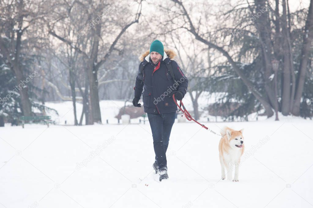 Akita dog walking with its owner on snow.