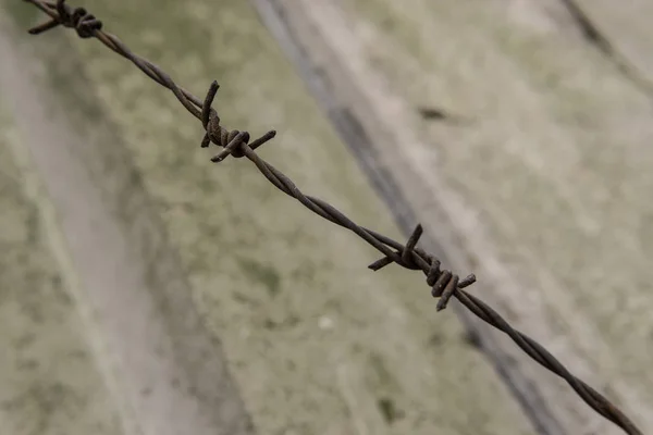 Piece Barbed Wire — Stock Photo, Image