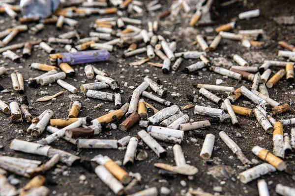 Sigara kıçından çöp. Kötü ekoloji. Sağlık için zarar