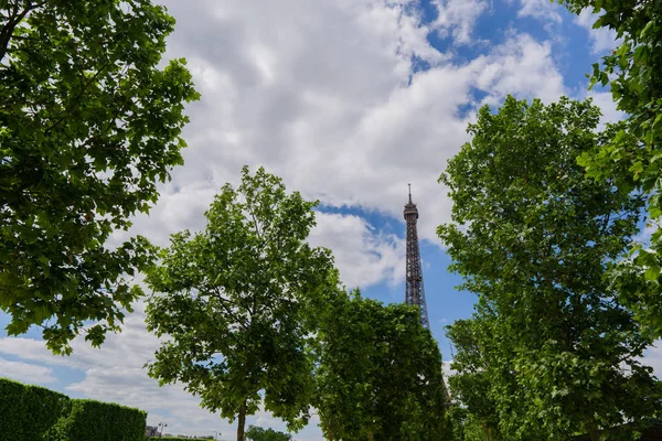 Eiffelturm durch Äste mit grünem Laub im Heck — Stockfoto