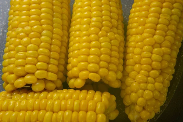 Свежеприготовленные желтые кукурузные початки лежат на серой тарелке — стоковое фото