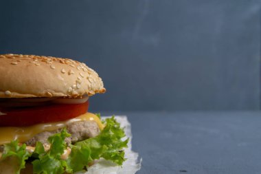 Köfte ile Burger, salata, domates ve peynir bir dilim, Oni