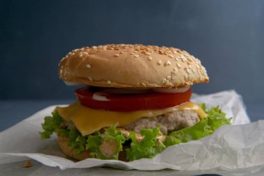 Köfte ile Burger, salata, domates ve peynir bir dilim, Oni