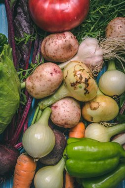 Domates, lahana, soğan, patates, biber, sarımsak, havuç ve pancar