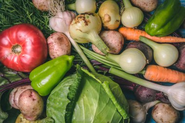 Domates, lahana, soğan, patates, biber, sarımsak, havuç ve pancar