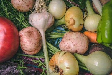 Domates, lahana, soğan, patates, biber, sarımsak, havuç ve pancar