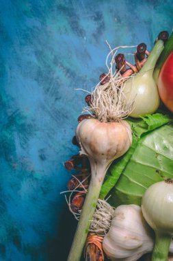 Domates, lahana, soğan, patates, biber, sarımsak, havuç ve pancar