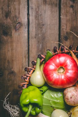 Domates, soğan, patates, biber, sarımsak, havuç ve pancar. Vege