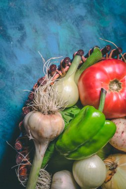 Domates, lahana, soğan, patates, biber, sarımsak, havuç ve pancar