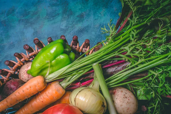 Domates, lahana, soğan, patates, biber, sarımsak, havuç ve pancar