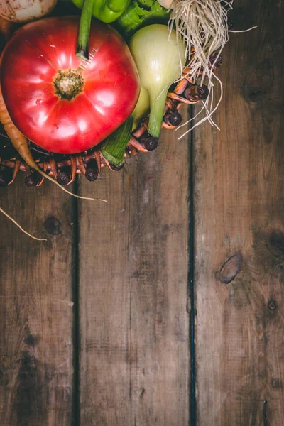 토마토, 양파, 감자, 후추, 마늘, 당근, 비트 뿌리. Vege — 스톡 사진