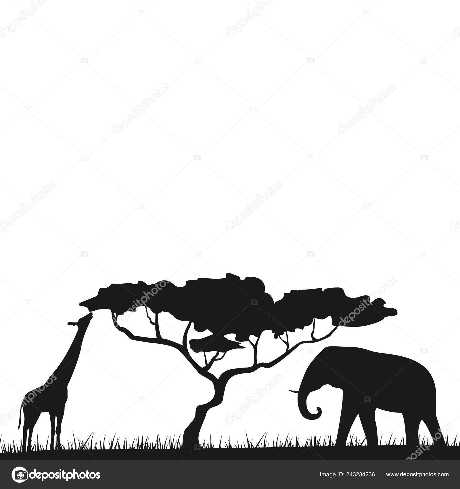 An African Safari Animal Savannah Silhouette Background Landscape