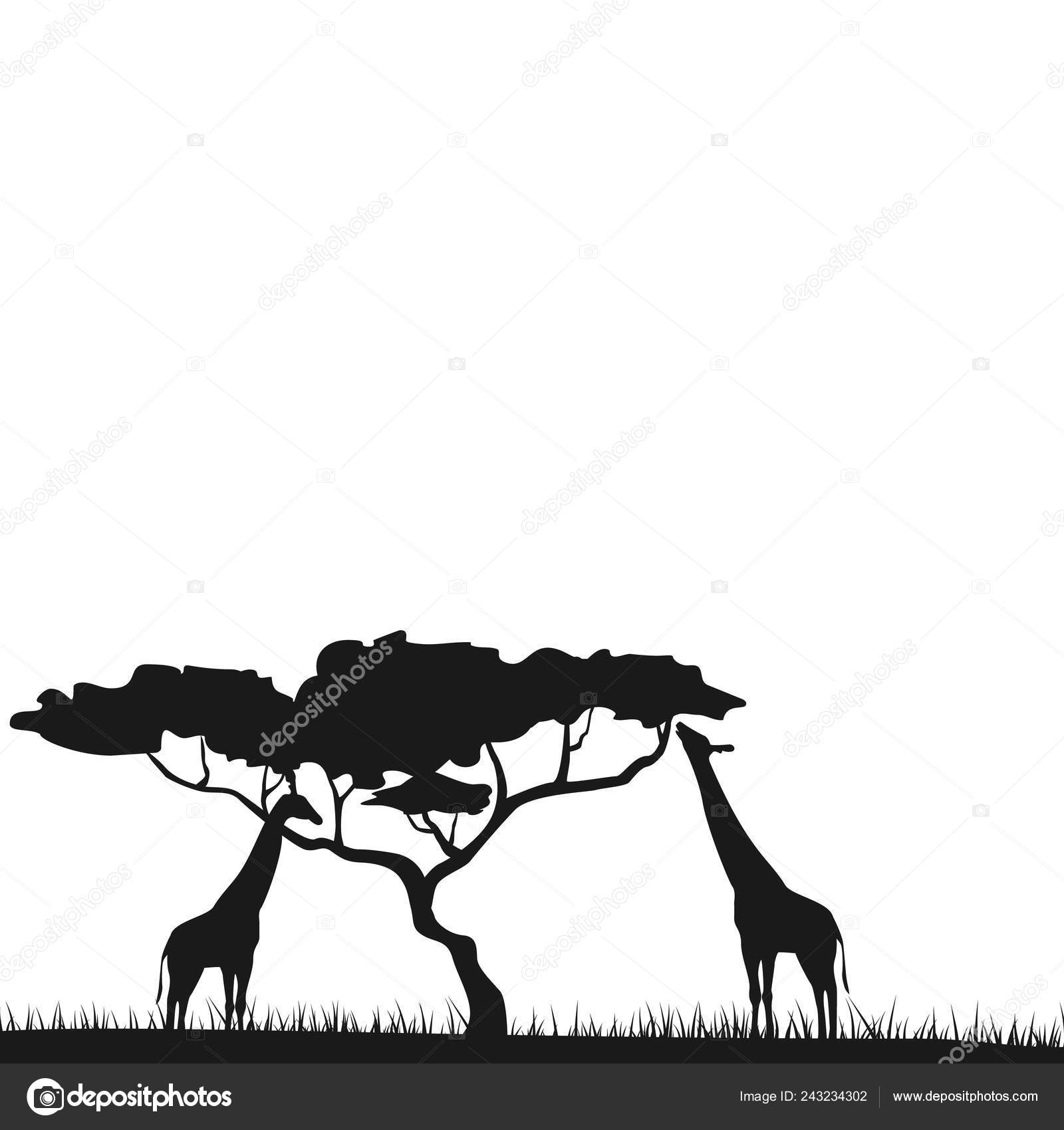 An African safari animal savannah silhouette background. African