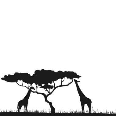 Bir Afrika safari hayvan savannah siluet arka plan. Afrika hayvanları, zürafa, siluetleri vektör. Zürafa, vektör