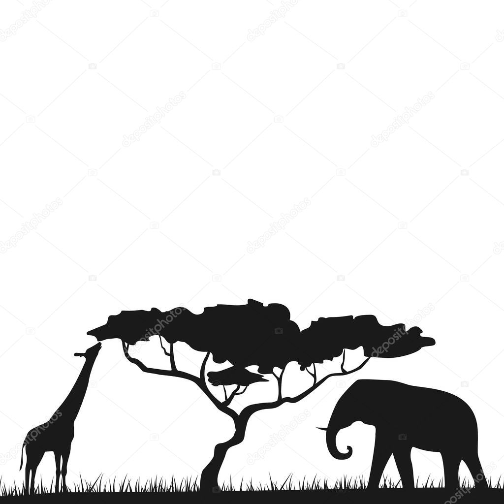 An African safari animal savannah silhouette background landscape scene. Elephant and giraffe vector illustration. Vector