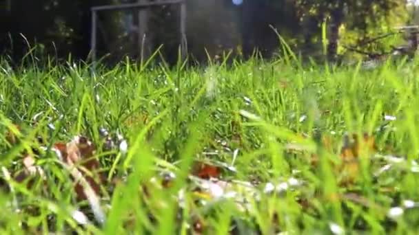 la caméra se déplace sur le tee vert