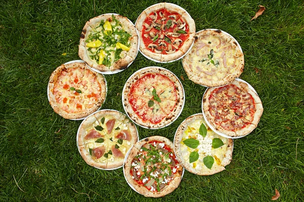 Свіжа Піца Різними Інгредієнтами Зеленій Траві — стокове фото