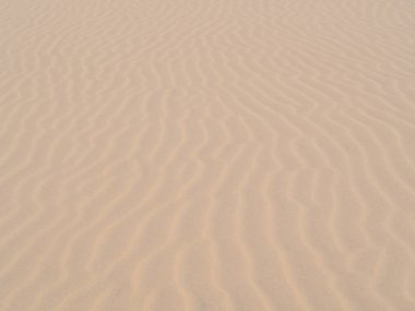 Güzel kum doku. Kum tepeleri, plaj arka plan boşluk yaz için