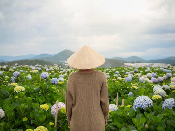 Mujer Vietnamita Con Sombrero Tradicional Vietnam Jardín Flores Hortensias — Foto de Stock