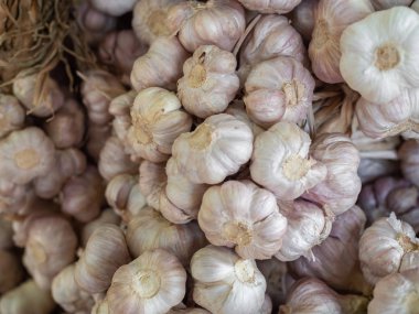 Organik beyaz sarımsak Herb madde pazarında Satılık sürü