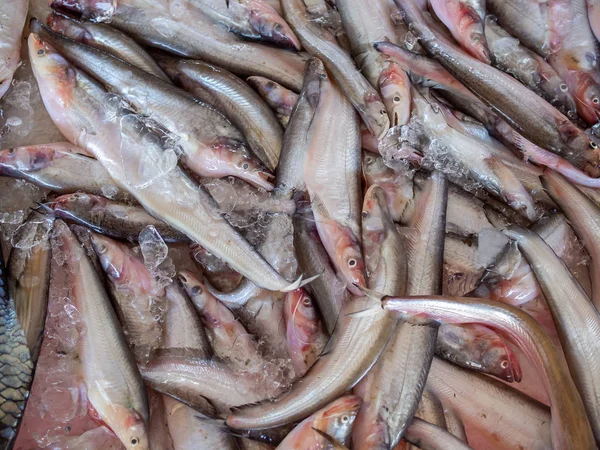 Νωπά Κατεψυγμένα Ψάρια Πάγου Πωλείται Στην Αγορά Καλοκαίρι — Φωτογραφία Αρχείου