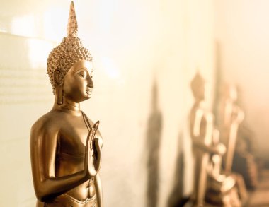 Altın Buddha Statue öğretim el ile demek inanç sıcak ışığıyla kötü şey yapmayı kes.