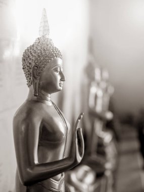 Siyah ve beyaz altın Buddha Statue öğretim el ile demek inanç sıcak ışığıyla kötü şey yapmayı kes. Dikey görüntü